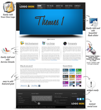 Exclusive WordPress Themes