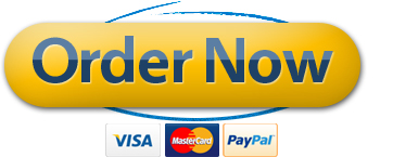 Order WordPress Maintenance Tutorials Securely